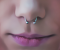 Septum